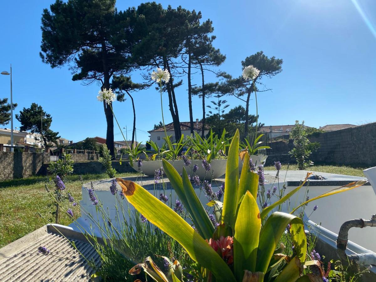 Beach House With Swimming Pool Vila do Conde Buitenkant foto